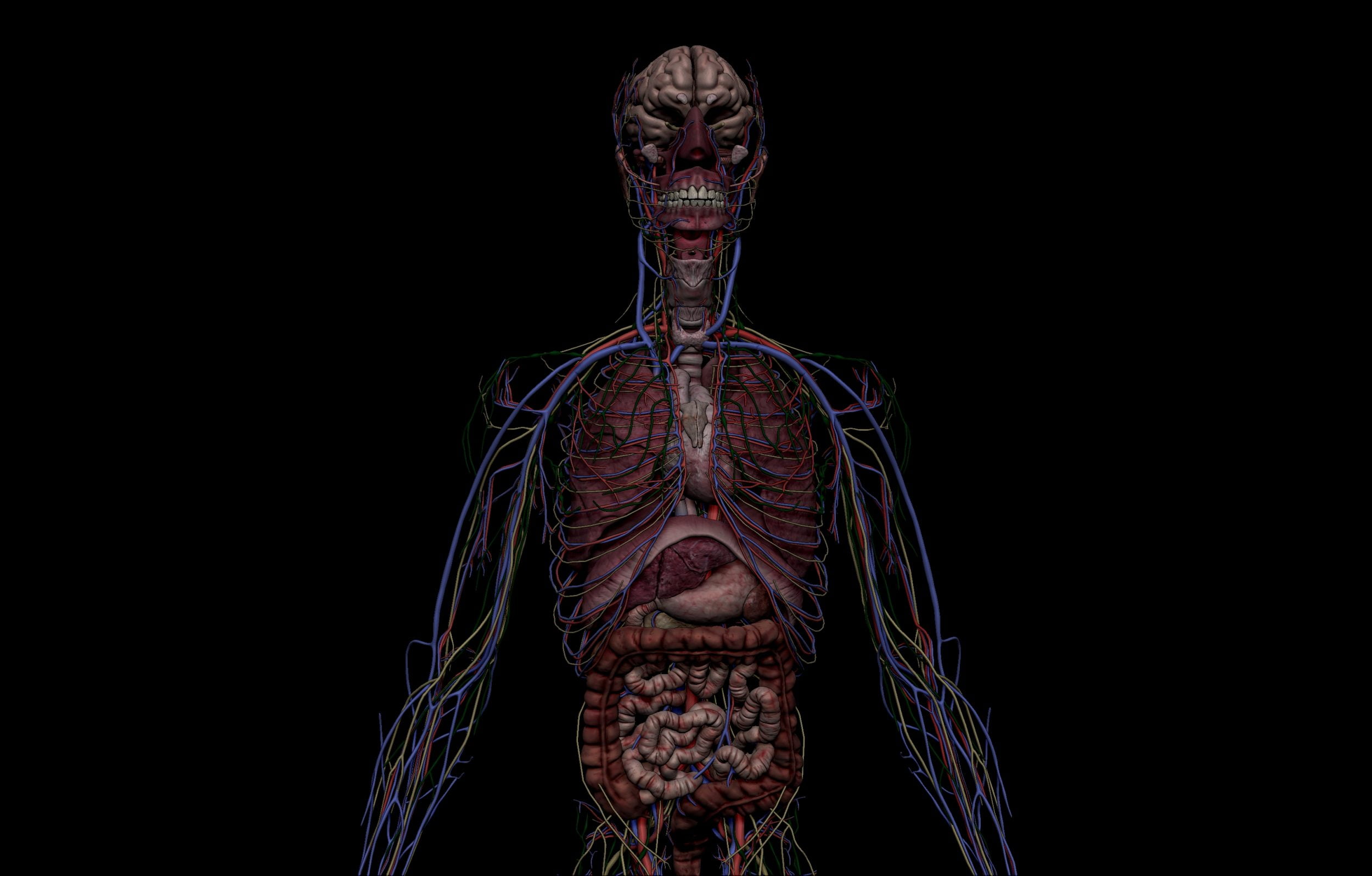 complete anatomy