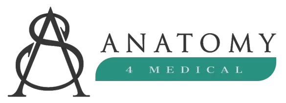 SA Anatomy 4 Medical logo