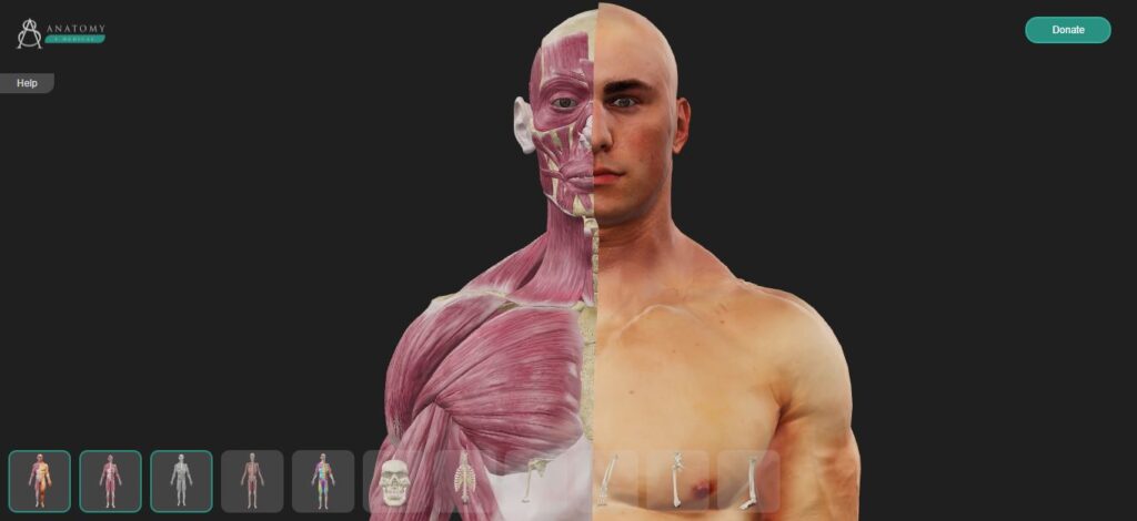 3d anatomy viewer